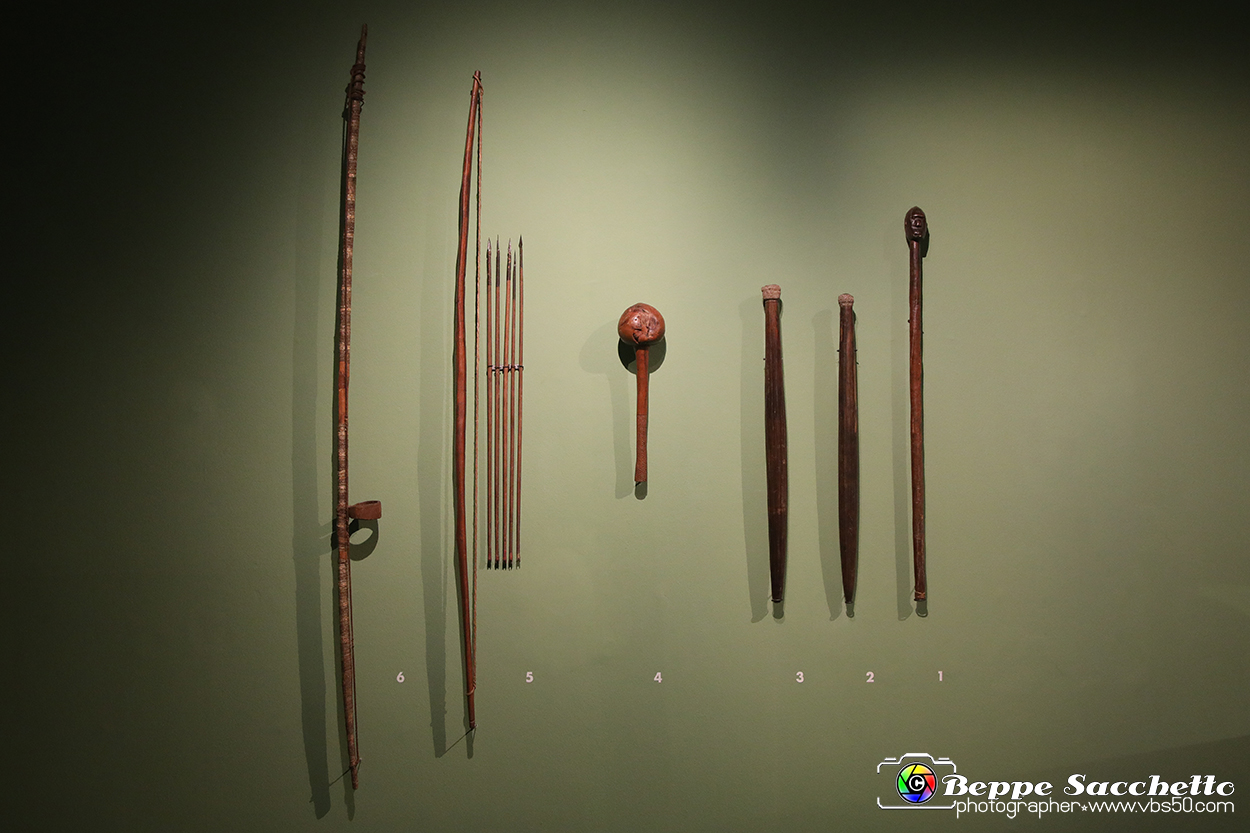 VBS_5345 - Africa - Le collezioni dimenticate.jpg